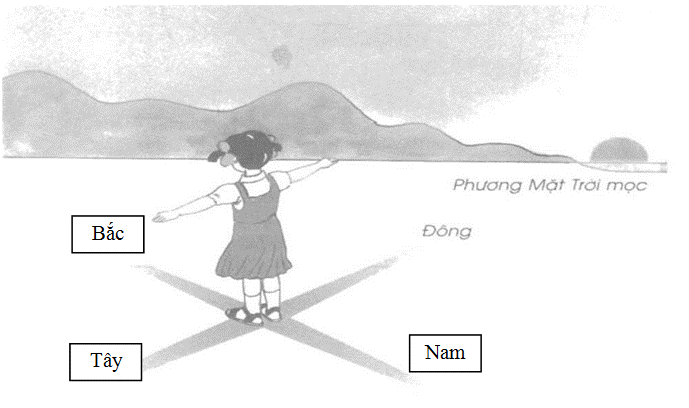 Vở bài tập Tự nhiên và Xã hội lớp 2 Bài 32: Mặt trời và phương hướng | Hay nhất Giải VBT Tự nhiên và Xã hội 2